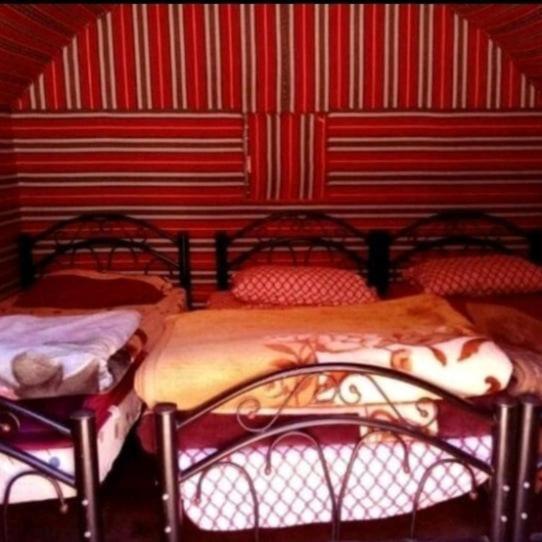 Bedouin Family Camp Hotel Wadi Rum Exterior photo
